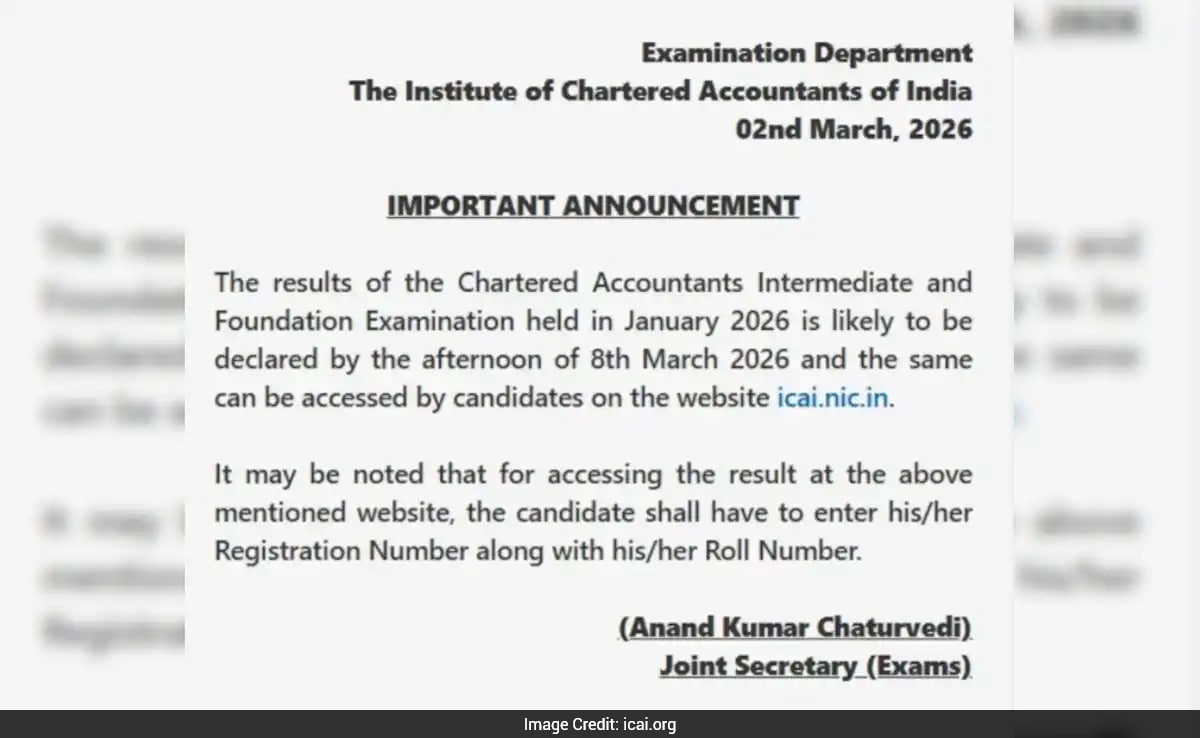 The Art of Baking: From Classic Bread to Artisan Pastries