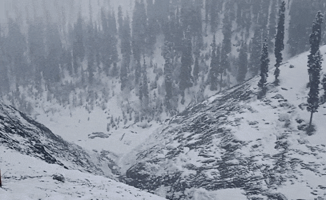 Jammu-Kashmir: बांदीपुरा में एवलांच की चेतावनी, अगले 24 घंटे बेहद भारी, बर्फबारी के बीच पहाड़ों से दूर रहने की चेतावनी