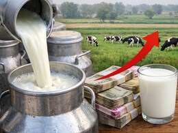 Milk Price Hiked:&nbsp; मध्य प्रदेश में दूध होगा महंगा, नए वित्तीय वर्ष से इतने रुपये प्रति लीटर बढ़ेंगे दाम