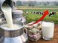 Milk Price Hiked:&nbsp; मध्य प्रदेश में दूध होगा महंगा, नए वित्तीय वर्ष से इतने रुपये प्रति लीटर बढ़ेंगे दाम