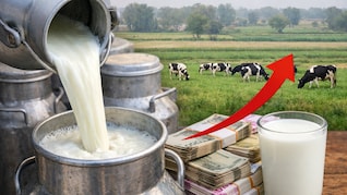 Milk Price Hiked:&nbsp; मध्य प्रदेश में दूध होगा महंगा, नए वित्तीय वर्ष से इतने रुपये प्रति लीटर बढ़ेंगे दाम