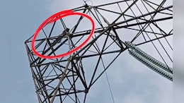 दामाद का ड्रामा! हाईटेंशन टावर पर चढ़ा, कूदने की धमकी, ससुराल वाले परेशान