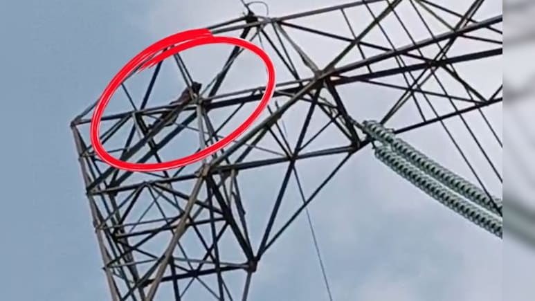 दामाद का ड्रामा! हाईटेंशन टावर पर चढ़ा, कूदने की धमकी, ससुराल वाले परेशान