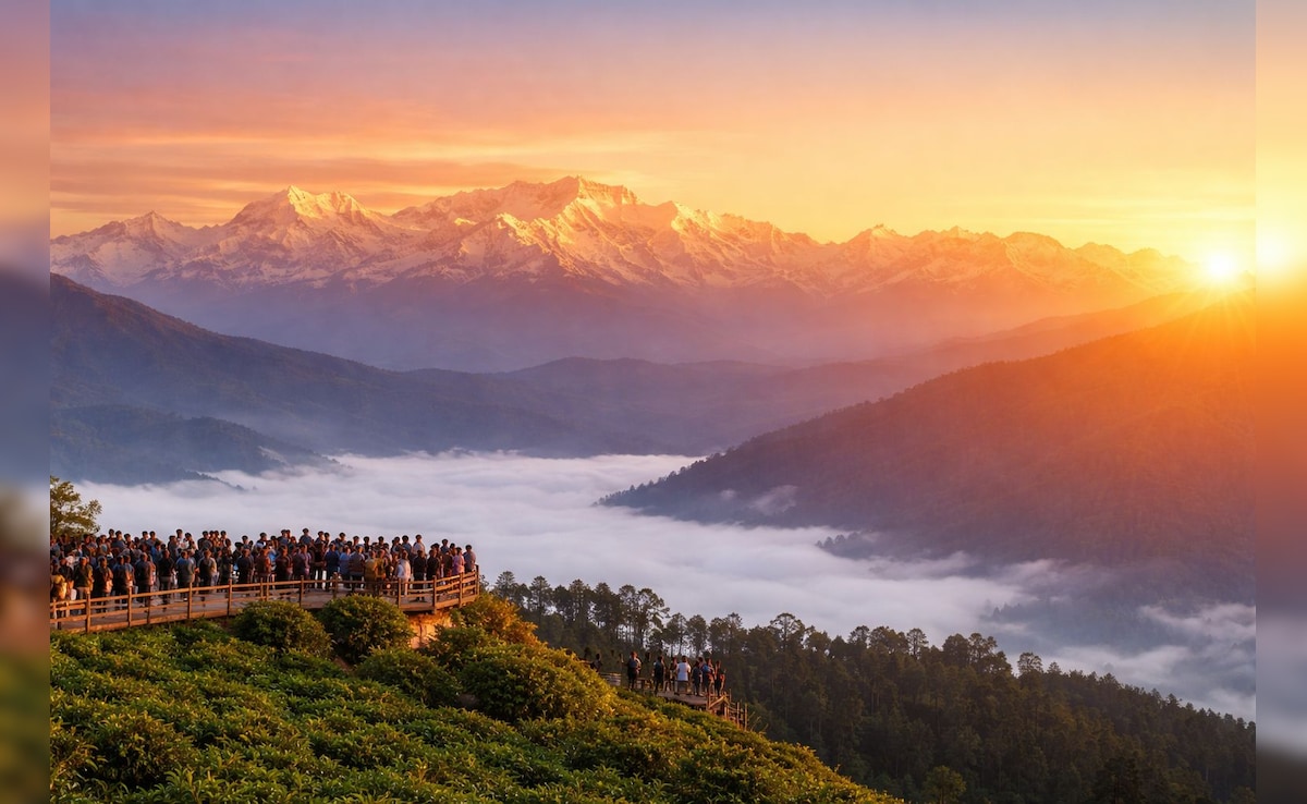 Latest and Breaking News on NDTV