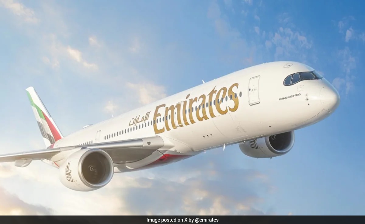 The Art of Baking: From Classic Bread to Artisan Pastries