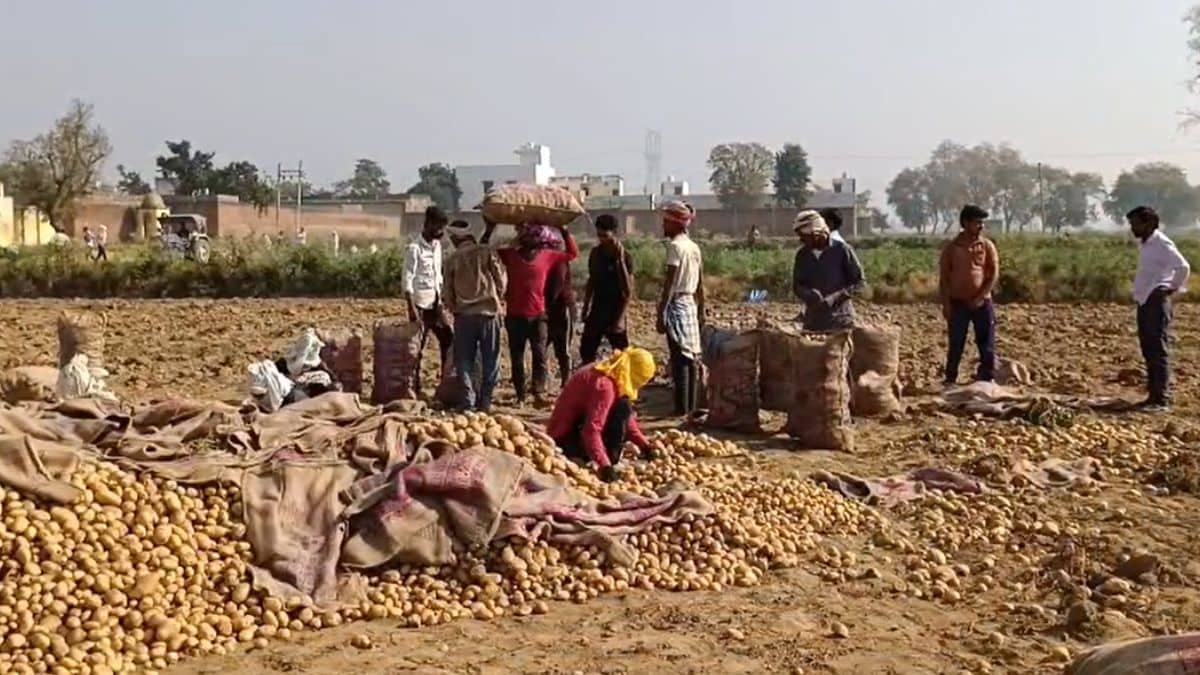 Latest and Breaking News on NDTV