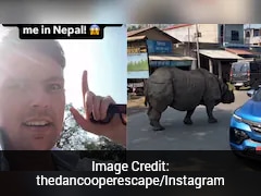 UK Man Left Speechless After Unexpected Rhino Encounter In Nepal
