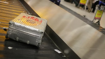Google Launches New Feature To Track Lost Airport Baggage In Real Time
