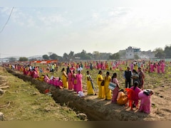 पीएम मोदी के संसदीय क्षेत्र में रिकॉर्ड पौधारोपण, नमो वन बनेगा देश का सबसे बड़ा शहरी वन, तोड़ा चीन का रिकॉर्ड