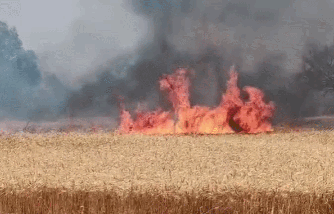 एमपी में &lsquo;आग का तांडव&rsquo;! कई जिलों में किसानों की मेहनत हुई बर्बाद, खेतों में खड़ी फसलें खाक