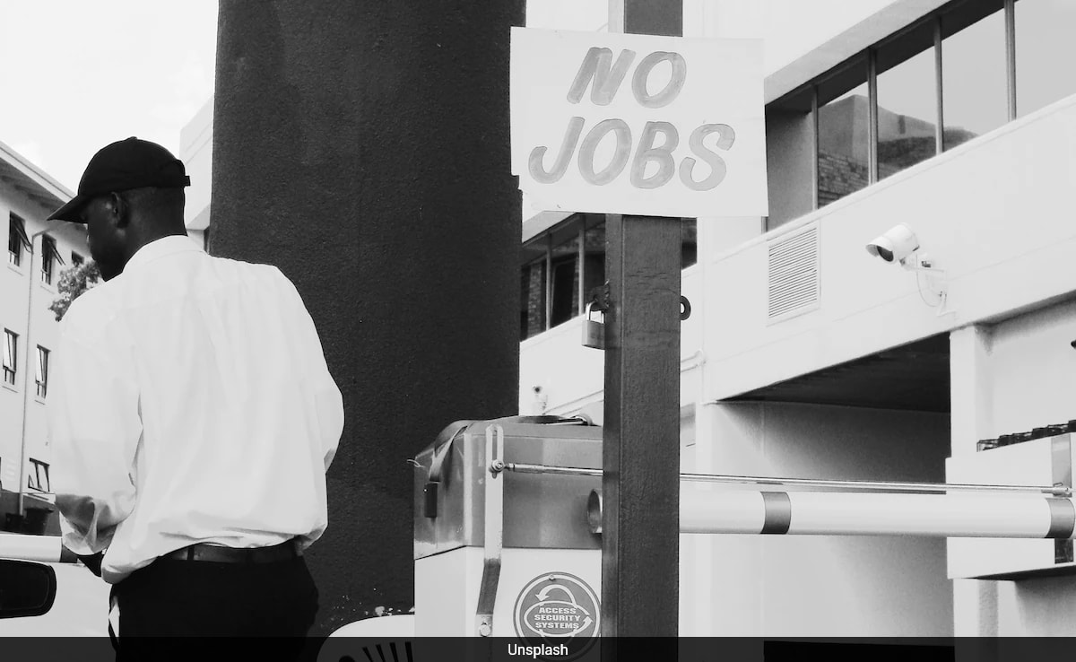 Worried About AI Taking Your Job? These Careers May Be Safe, Anthropic Study Reveals