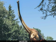 Why Were There No Tiny Dinosaurs? Mammals Might Have Played A Role