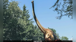 Why Were There No Tiny Dinosaurs? Mammals Might Have Played A Role