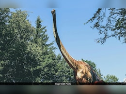 Why Were There No Tiny Dinosaurs? Mammals Might Have Played A Role