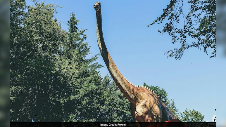 Why Were There No Tiny Dinosaurs? Mammals Might Have Played A Role