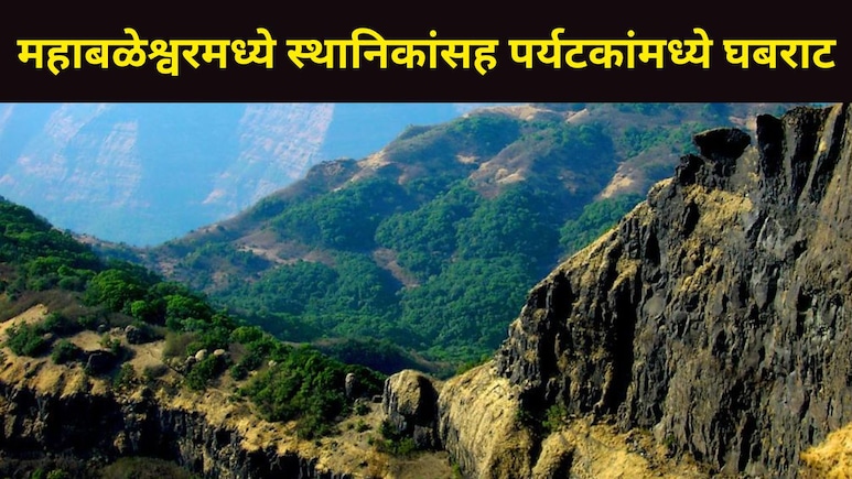Mahabaleshwar News : महाबळेश्वरमध्ये फिरताना अलर्ट राहा, शेतकऱ्यासह एकाला जीव गमवावा लागला, तो पुन्हा आला..
