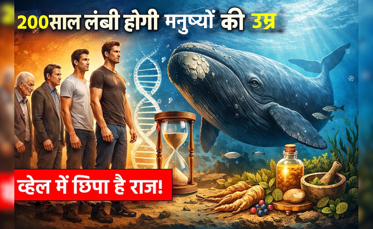 क्या इंसान 200 साल तक जी सकते हैं, क्या कहता है व्हेल में छिपा राज: रिसर्च
