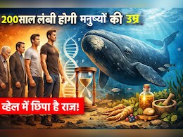 क्या इंसान 200 साल तक जी सकते हैं, क्या कहता है व्हेल में छिपा राज: रिसर्च