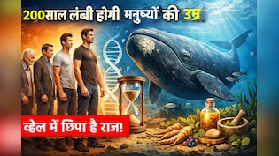 क्या इंसान 200 साल तक जी सकते हैं, क्या कहता है व्हेल में छिपा राज: रिसर्च