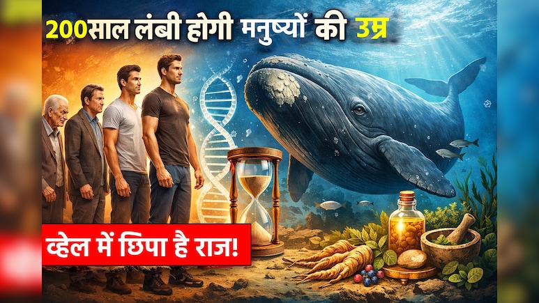 क्या इंसान 200 साल तक जी सकते हैं, क्या कहता है व्हेल में छिपा राज: रिसर्च