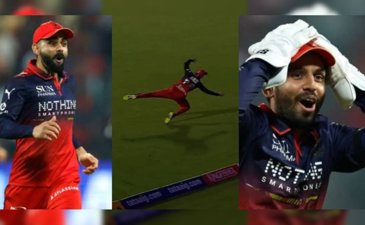 RCB vs SRH: फिल सॉल्ट के चमत्कारिक कैच को देख विराट कोहली के उड़े होश, यकीन नहीं कर पा रहे, दिया ऐसा रिएक्शन