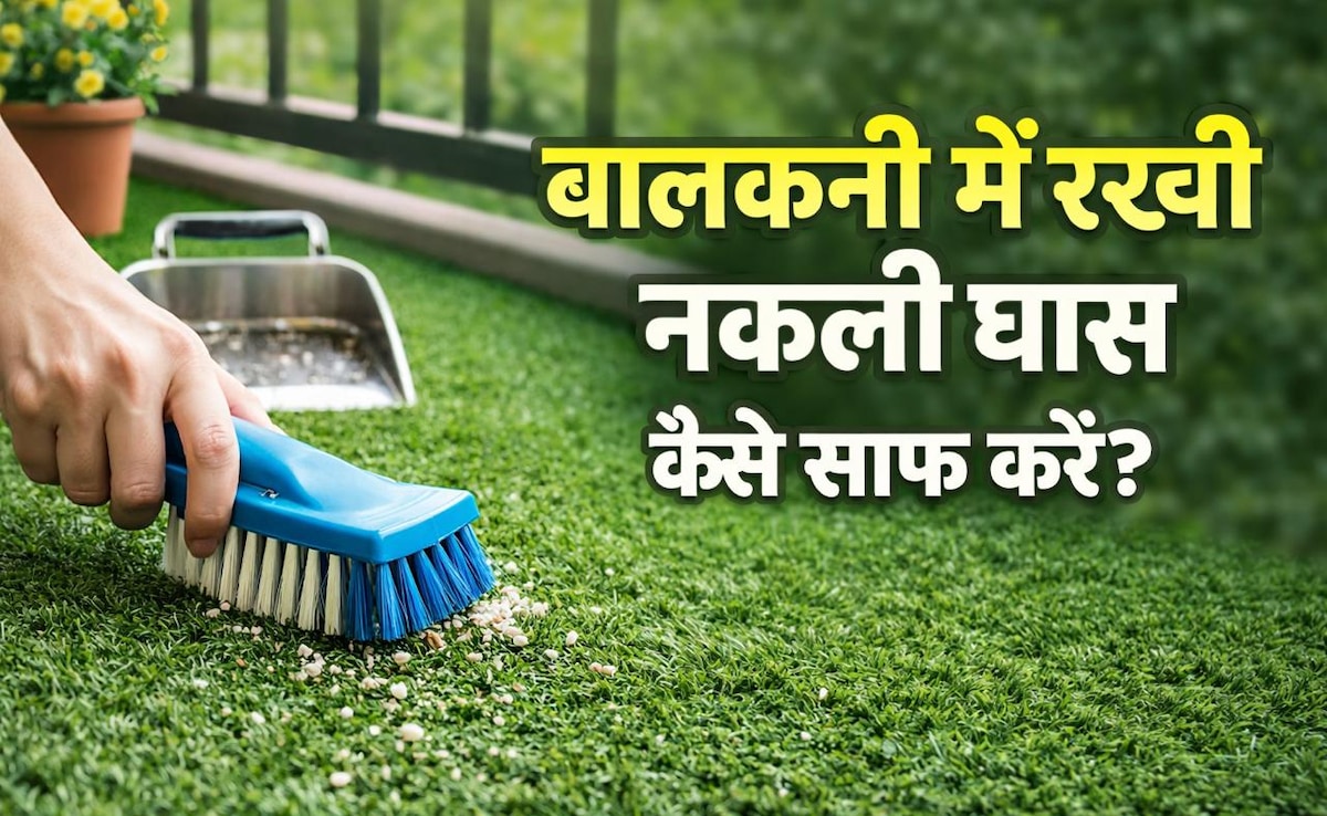 घर की बालकनी में रखी नकली घास हो गई है गंदी? अपनाएं ये 4 आसान तरीके, महीनों तक नहीं करनी पड़ेगी मेहनत!