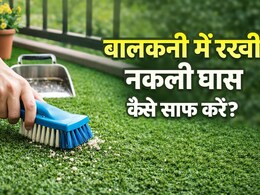 घर की बालकनी में रखी नकली घास हो गई है गंदी? अपनाएं ये 4 आसान तरीके, महीनों तक नहीं करनी पड़ेगी मेहनत!