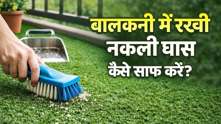घर की बालकनी में रखी नकली घास हो गई है गंदी? अपनाएं ये 4 आसान तरीके, महीनों तक नहीं करनी पड़ेगी मेहनत!