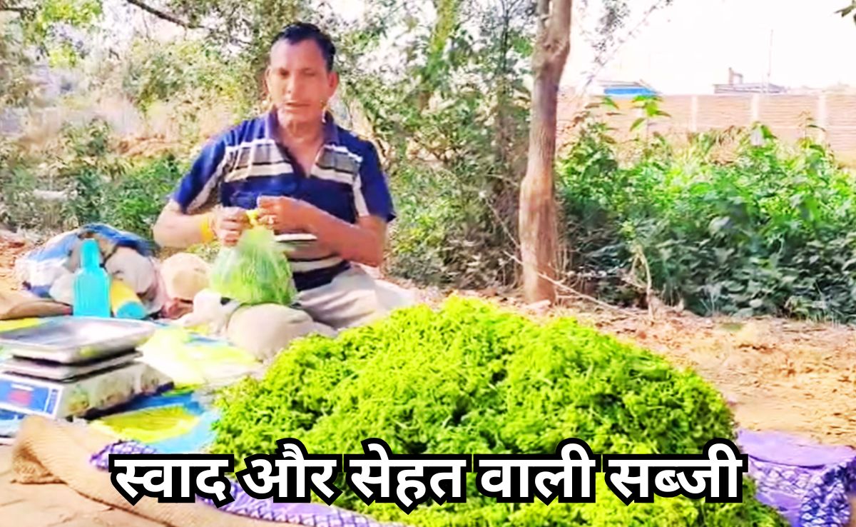 Seasonal Vegetables: औषधीय गुणों से भरपूर मौसमी बोहार सब्जी की बढ़ी डिमांड,  250 रुपए प्रति किलो बिक रही, जानें खासियत