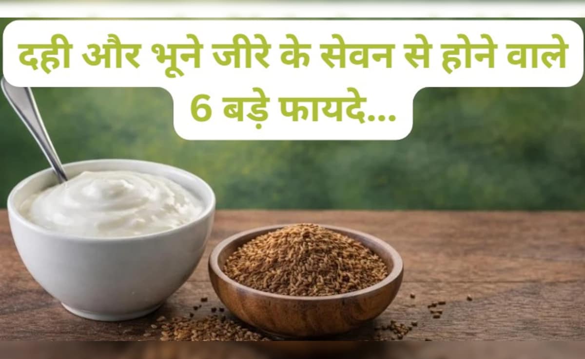 गर्मियों में भूख कम लगती है? दही में मिलाकर खाएं ये भुना मसाला, शरीर को मिलेंगे चौंकाने वाले फायदे!