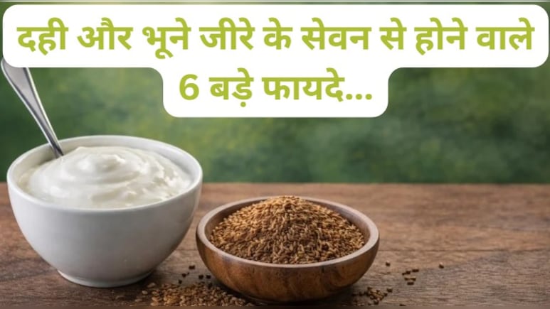 गर्मियों में भूख कम लगती है? दही में मिलाकर खाएं ये भुना मसाला, शरीर को मिलेंगे चौंकाने वाले फायदे!