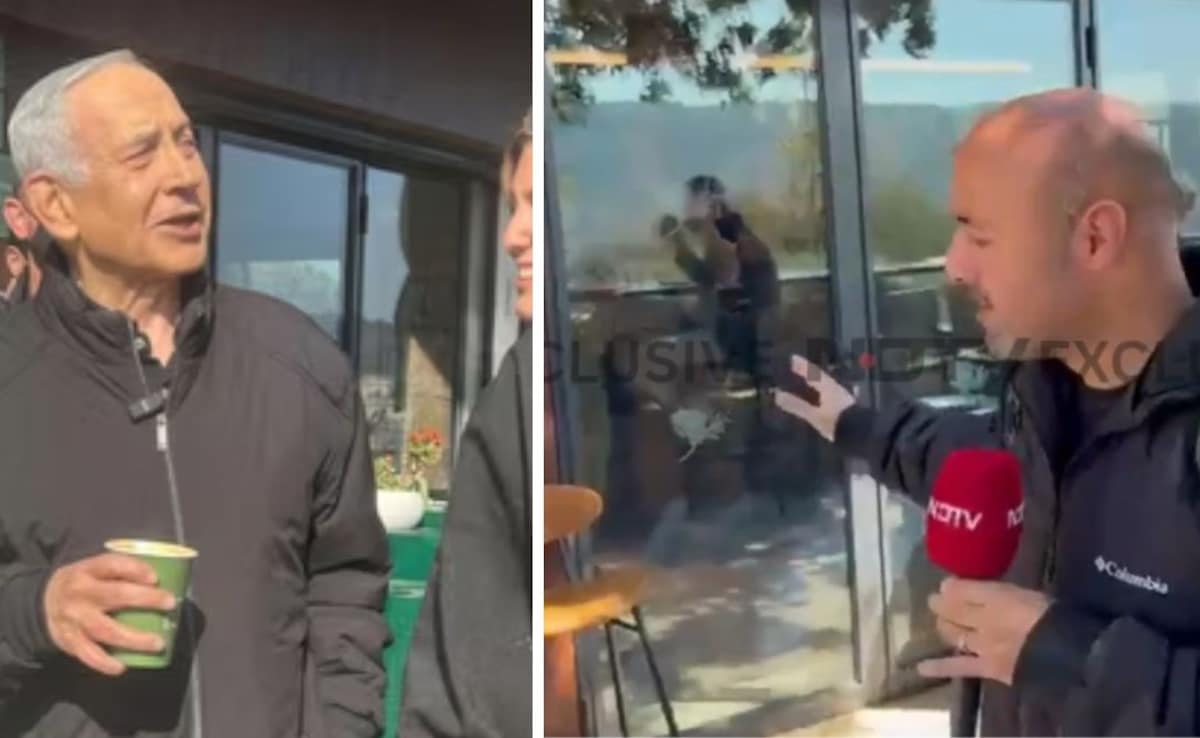 The Art of Baking: From Classic Bread to Artisan Pastries