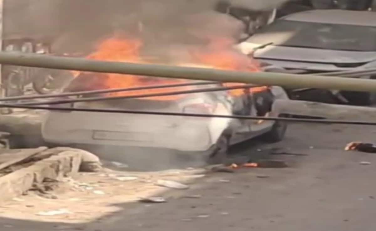 The Art of Baking: From Classic Bread to Artisan Pastries