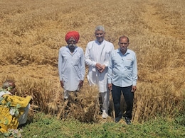 बेमौसम बारिश से परेशान किसानों को राजस्थान सरकार की बड़ी राहत, कैबिनेट मंत्री ने दिए बड़े निर्देश