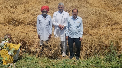 बेमौसम बारिश से परेशान किसानों को राजस्थान सरकार की बड़ी राहत, कैबिनेट मंत्री ने दिए बड़े निर्देश