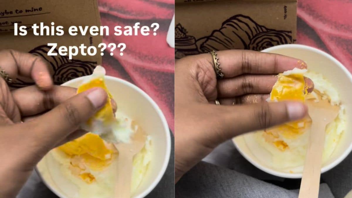 Viral Video: Customer Flags Zepto Cafe Over Alleged 'Plastic-Like' Egg Dish