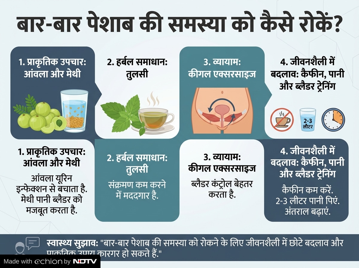 Latest and Breaking News on NDTV