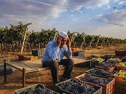 War Effect on Maharashtra : युद्ध भडकलं राज्याला फटका! शेतकऱ्यांसह आणखी कुणाकुणाला धक्का? वाचा सविस्तर