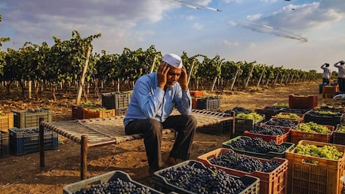 War Effect on Maharashtra : युद्ध भडकलं राज्याला फटका! शेतकऱ्यांसह आणखी कुणाकुणाला धक्का? वाचा सविस्तर