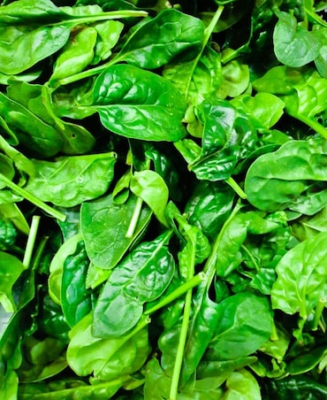 Foods That Can Boost Your Bone Health