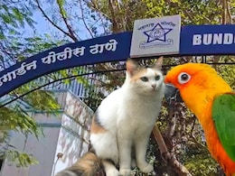 Pune Crime: मांजर, पोपट, पिंजरा.. दोन कुटुंबांमध्ये तुंबळ हाणामारी, पुण्यातील धक्कादायक घटना