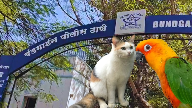 Pune Crime: मांजर, पोपट, पिंजरा.. दोन कुटुंबांमध्ये तुंबळ हाणामारी, पुण्यातील धक्कादायक घटना