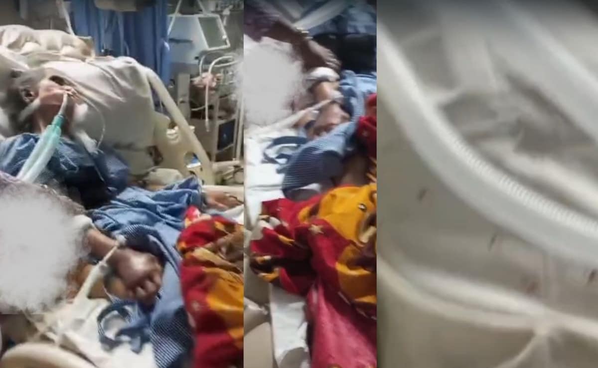 घोर लापरवाही! महाराष्ट्र में ICU में भर्ती बुजर्ग महिला के शरीर को चूहों ने कुतरा, डॉक्टर-नर्स भी नहीं जान पाए