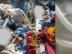 घोर लापरवाही! महाराष्ट्र में ICU में भर्ती बुजर्ग महिला के शरीर को चूहों ने कुतरा, डॉक्टर-नर्स भी नहीं जान पाए