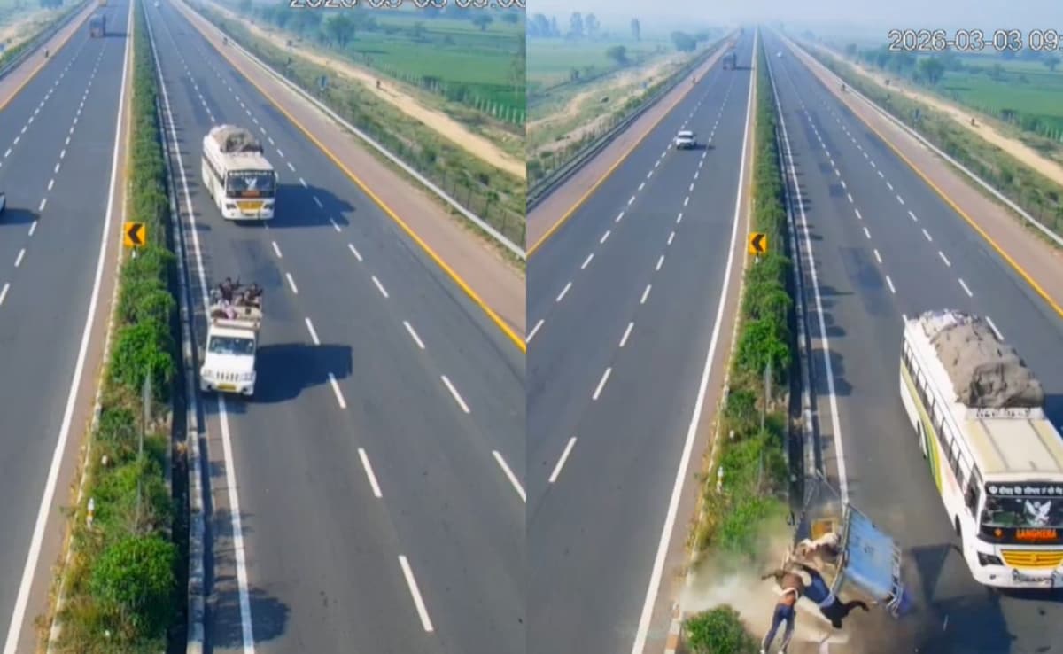 The Art of Baking: From Classic Bread to Artisan Pastries