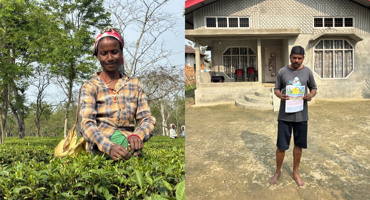 असम के चाय बागानों में 'कमल' खिलने के आसार क्यों हैं? पढ़िए पूरी इनसाइड स्टोरी