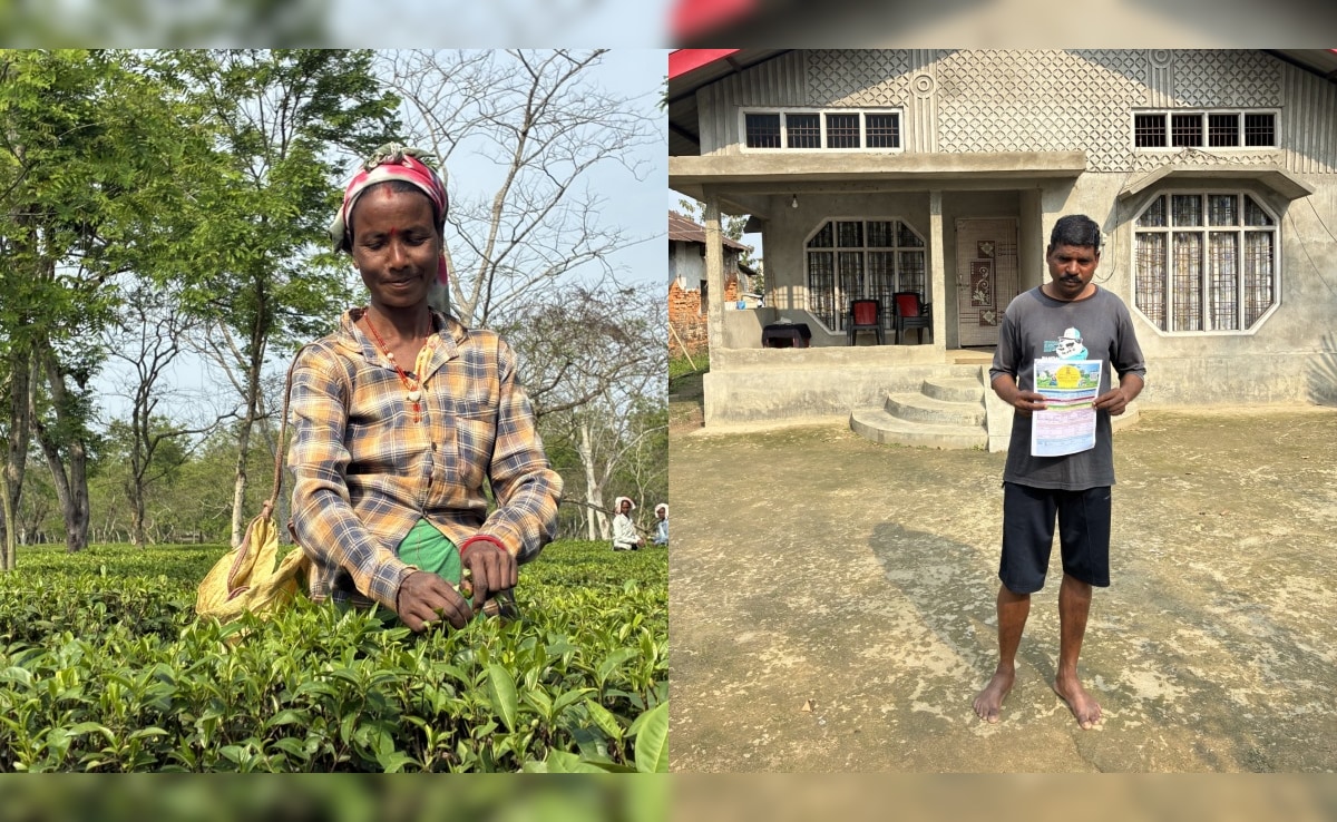 असम के चाय बागानों में 'कमल' खिलने के आसार क्यों हैं? पढ़िए पूरी इनसाइड स्टोरी