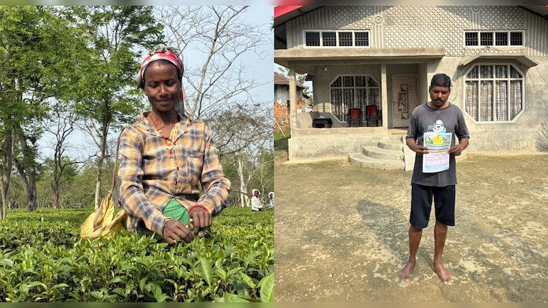 असम के चाय बागानों में 'कमल' खिलने के आसार क्यों हैं? पढ़िए पूरी इनसाइड स्टोरी