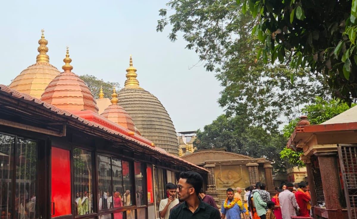 Latest and Breaking News on NDTV