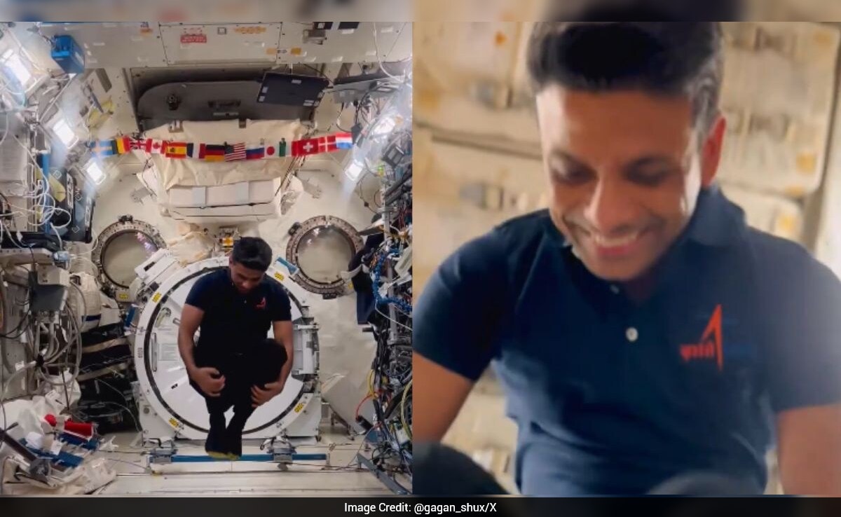 The Art of Baking: From Classic Bread to Artisan Pastries